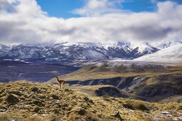 Mountain range with snow-capped peaks